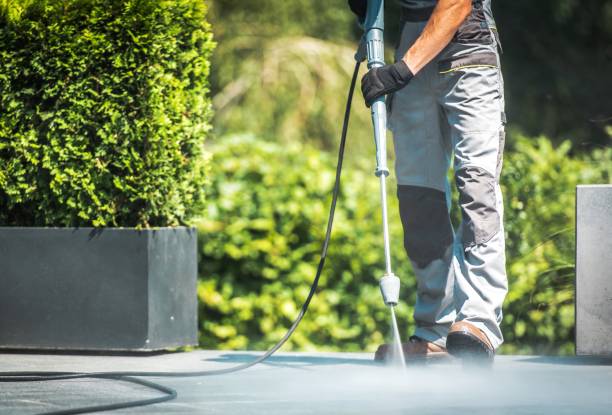 Best Pool Deck Cleaning  in Buckhannon, WV